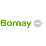 Logotipo bornay
