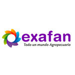 Logotipo exafan