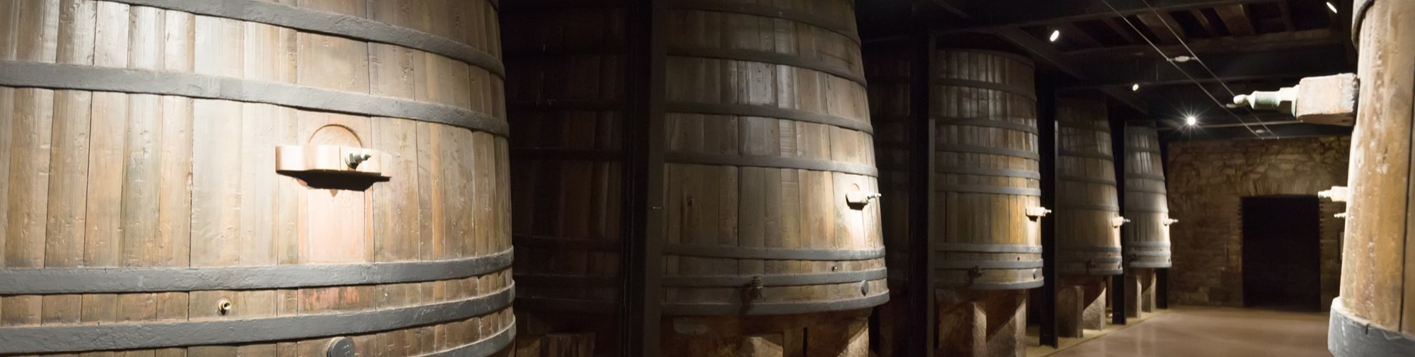 gestión de bodegas